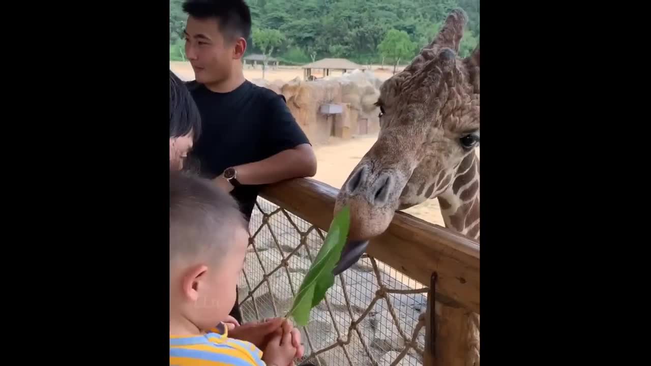 Funnies Fails of this Year