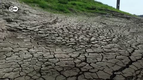 US envoy Kerry in China for climate talks amid Beijing heat wave | DW News