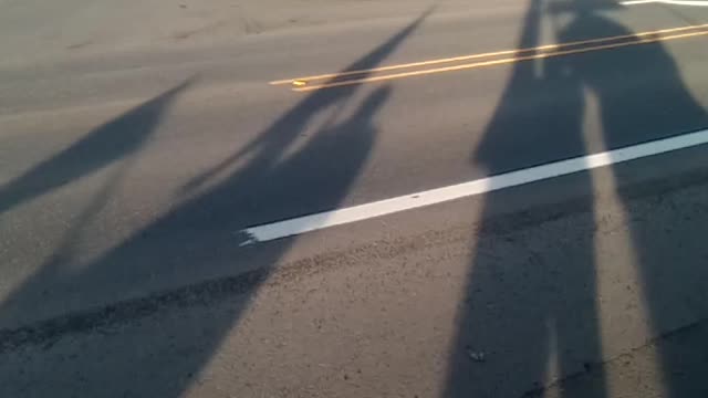 Counter protest at FEMA vaccine clinic in Reedsport, Or 2/5/2022