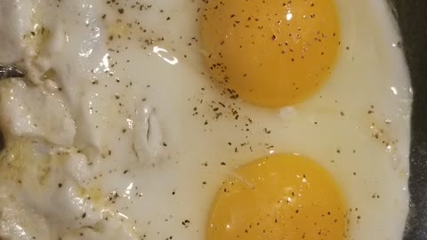 Talking Eggs
