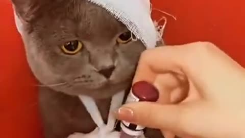 Instagram reels | Top Viral reels video #shorts #viral #viralvideo #youtubeshorts #reels #funnyvideo