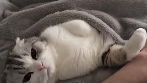 Me With My Cat.