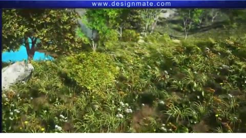 How photosynthesis takes place in plants & process of photosynthesis (3D Animated)