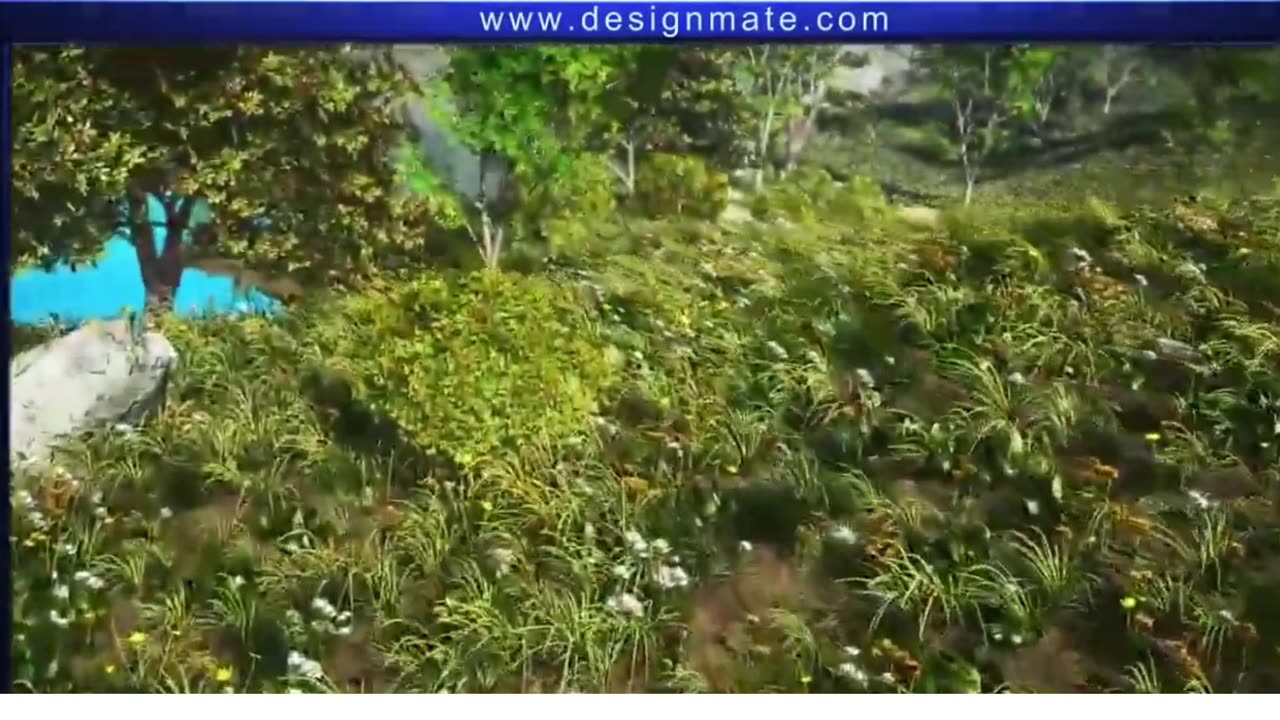 How photosynthesis takes place in plants & process of photosynthesis (3D Animated)