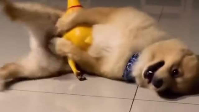 to the interest she aroused and this indifference