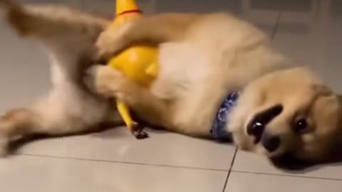 to the interest she aroused and this indifference