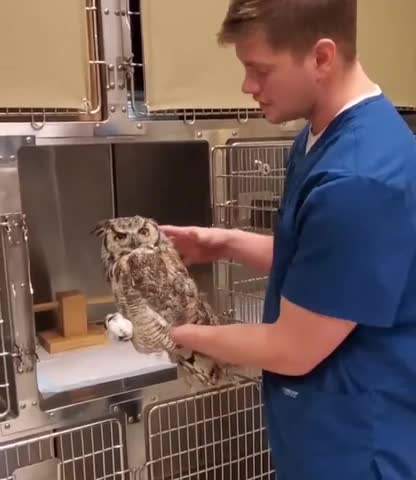 Sir I don't think the anaesthetic has worn off