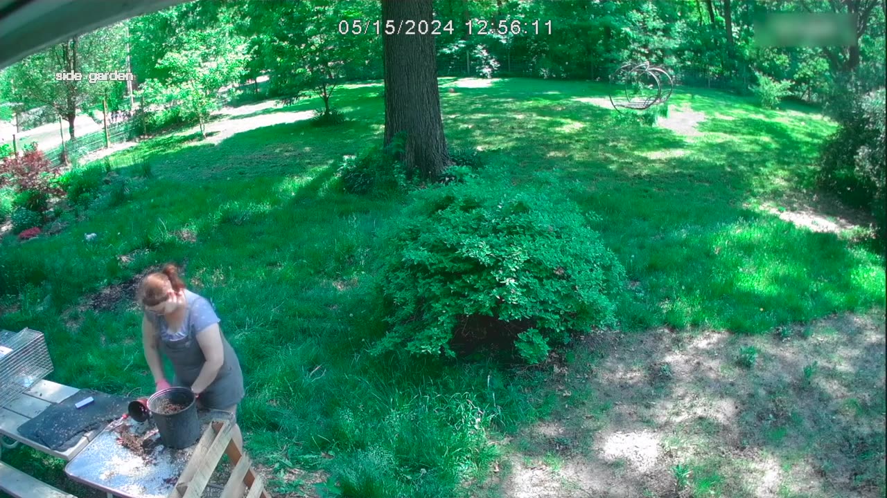 Huge Tree Branch Falls in Backyard While Person Pots Plants