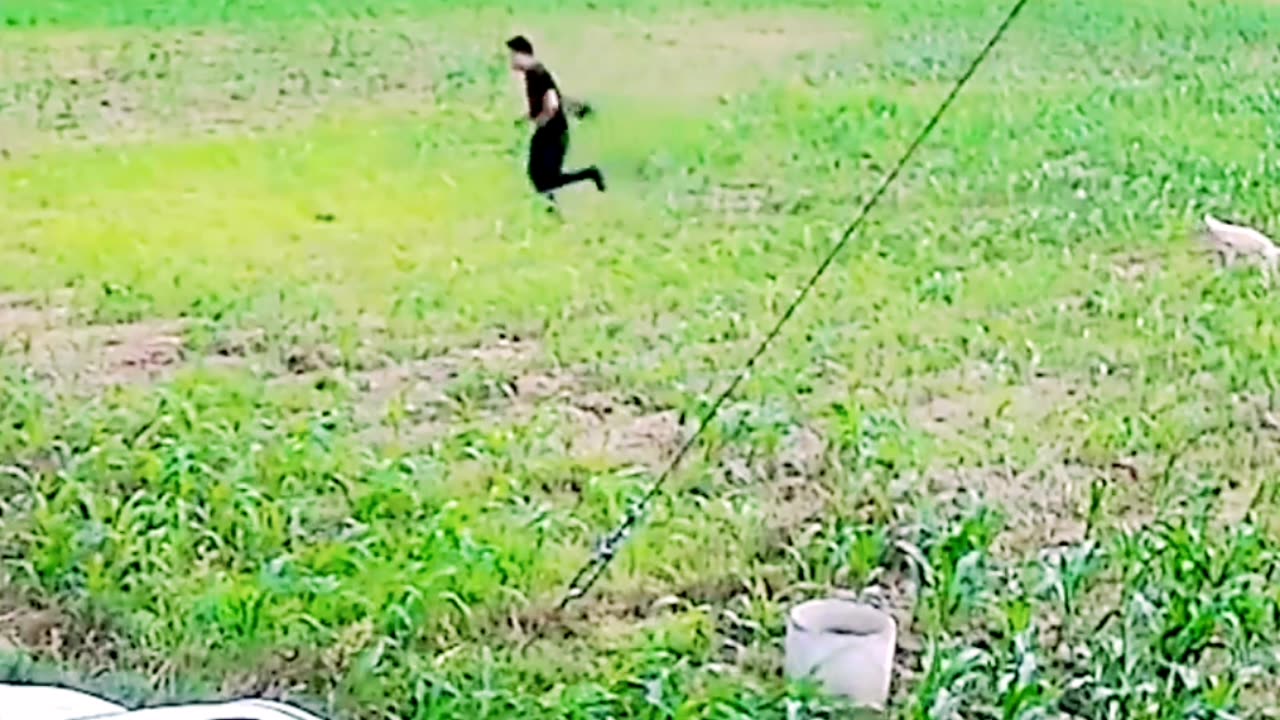Dogs and human funny fiting