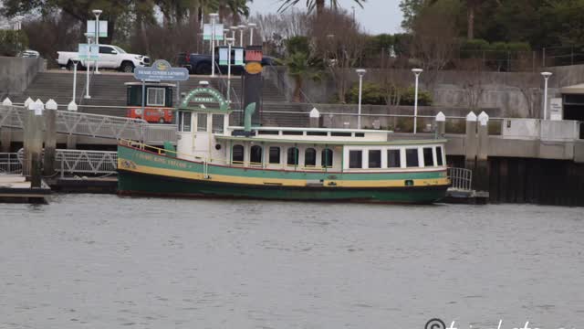 Tybee Island shipping pics