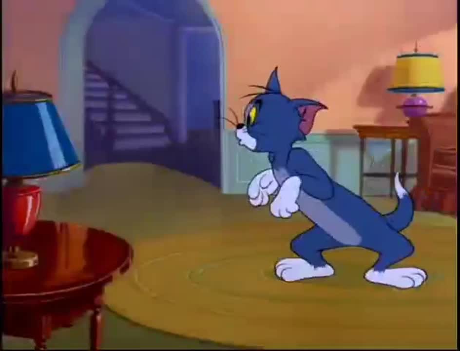 Tom and Jerry cartoon videos, funny kids videos, cartoon funny videos