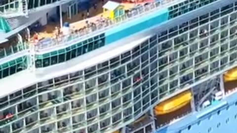 Cruise