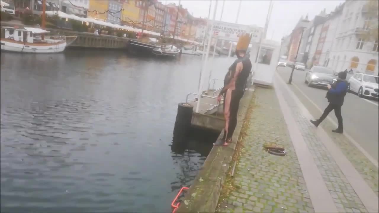 En Dansk Neger Konge by Uwe Max Jensen