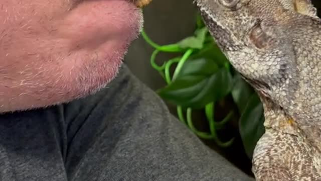 almost ran into the nose