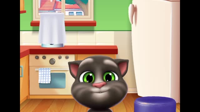 Talking Tom 🤣 funny cat 🤣 videos