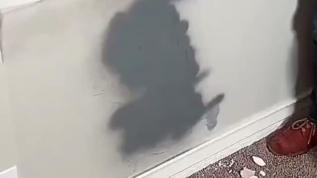Dad designs the wall art in his baby's bedroom