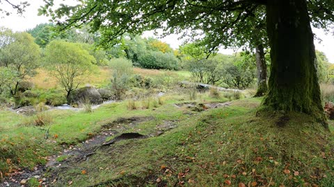 Taking gear back to the car . Leave no trace . Dartmoor. Speedlapse 29th Sep 2022