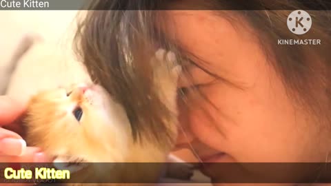 Once upon a time there was one cutest kitten... 💕