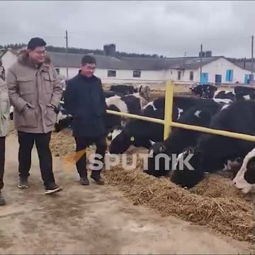 Chinese farm in Belarus