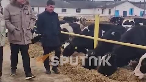 Chinese farm in Belarus