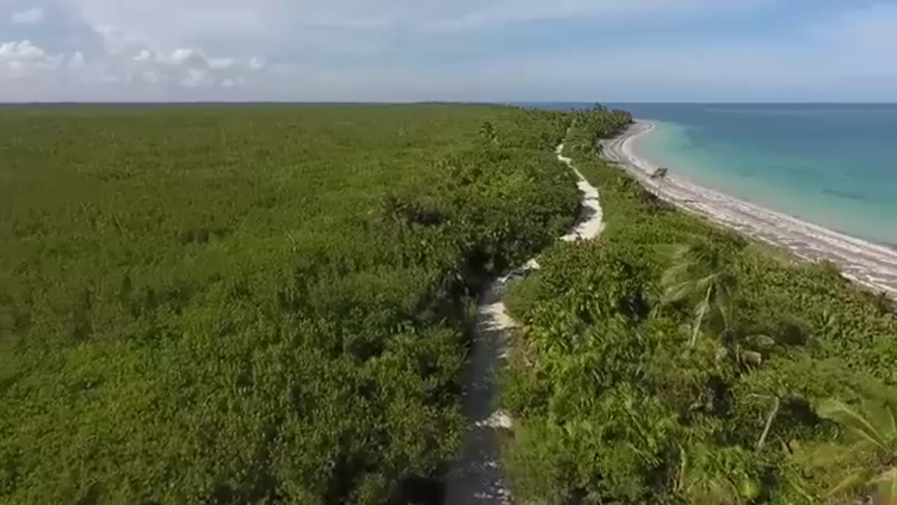 Nature video