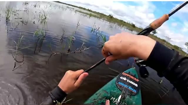 2# prscaria in the amazon you are nervous ? go fishing!