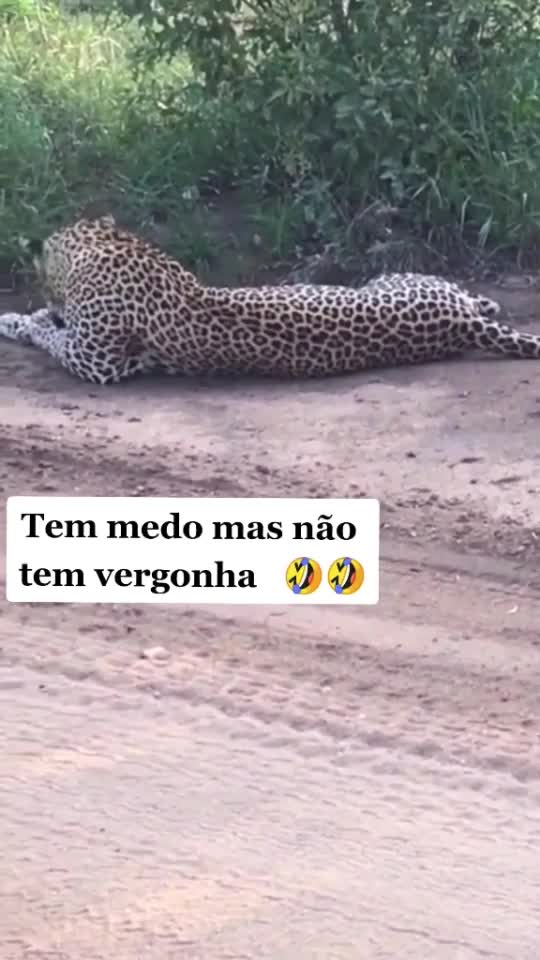 TEM MEDO MAS NÃO TEM VERGONHA