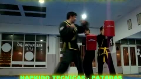 Hapkido