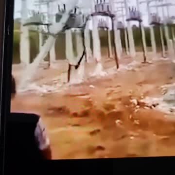 Brazilians gone wild!