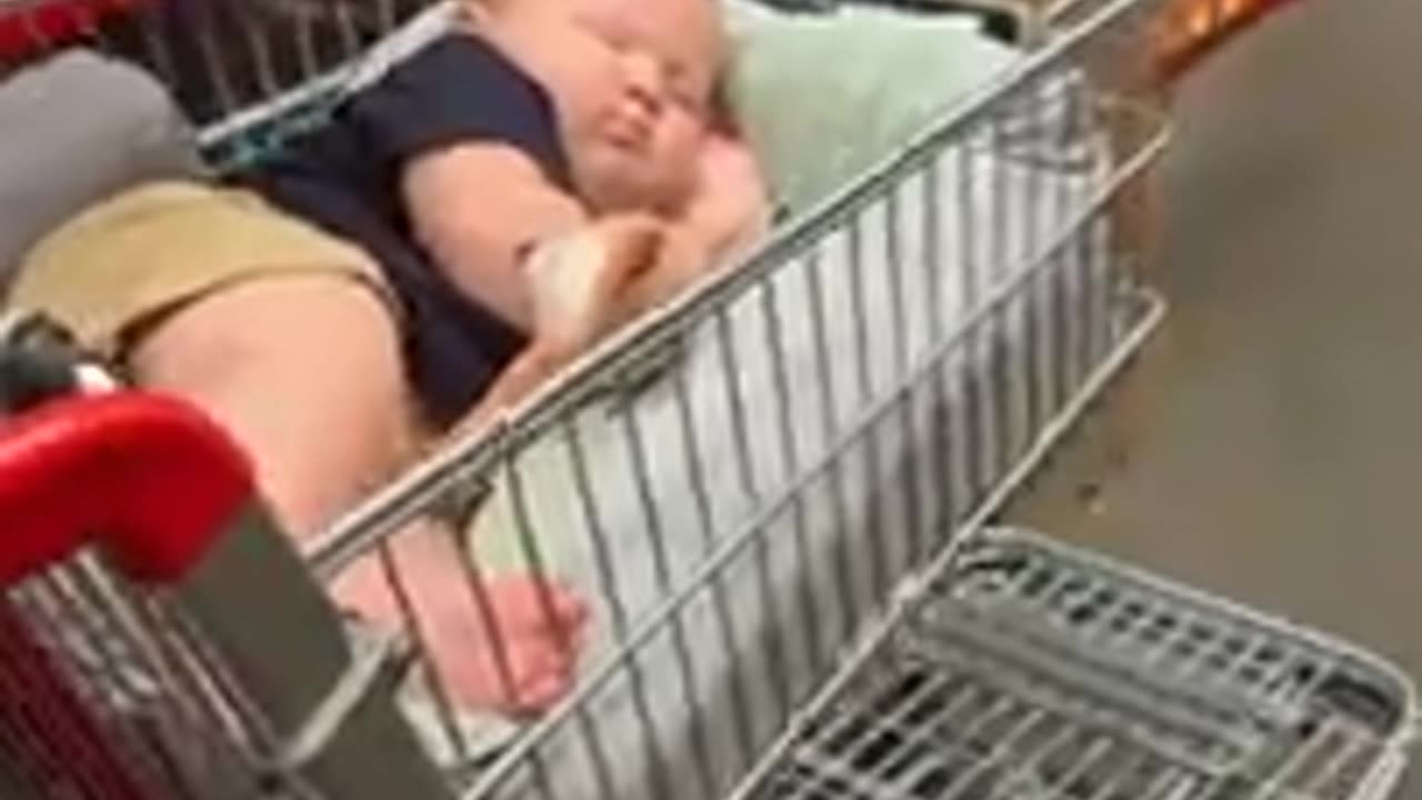 cute baby videos