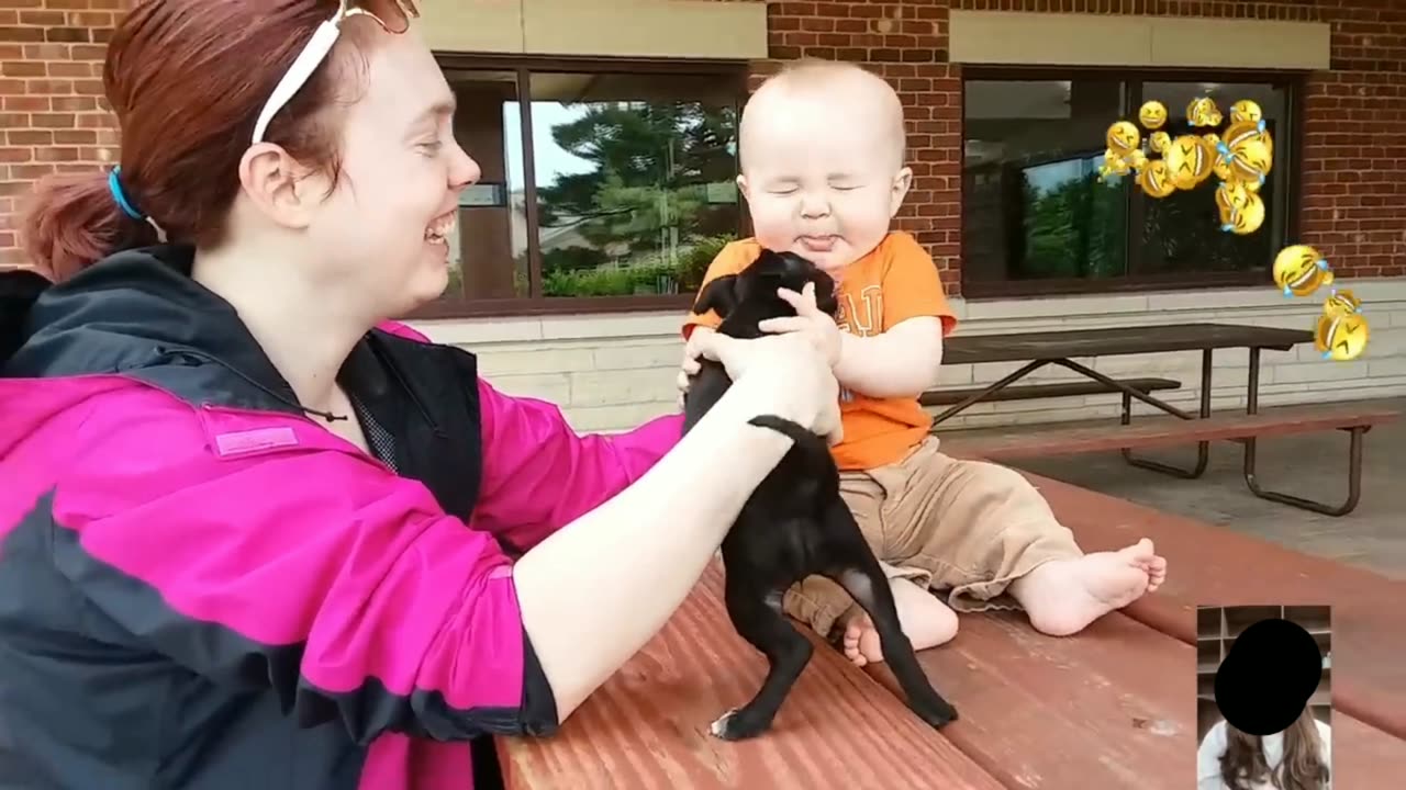 Adorable Babies Playing With Dogs Compilation - Funny Baby And Dog Videos || Just Laugh ep3