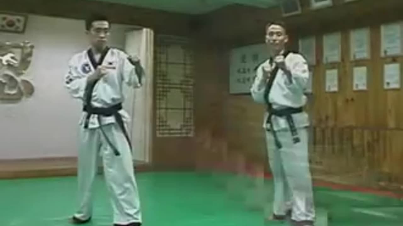 Hapkido