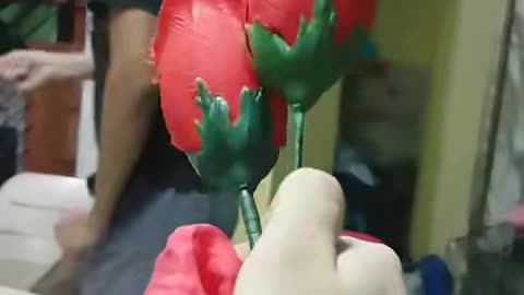 MAGIC TRICKS WITH RED ROSE