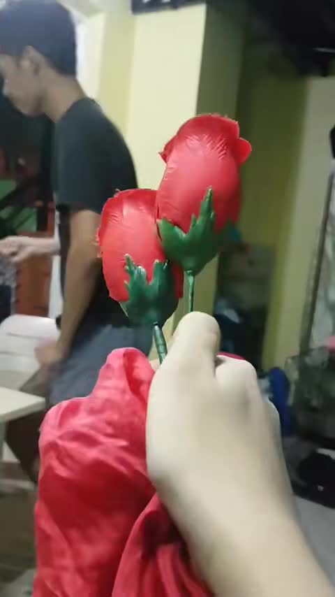 MAGIC TRICKS WITH RED ROSE