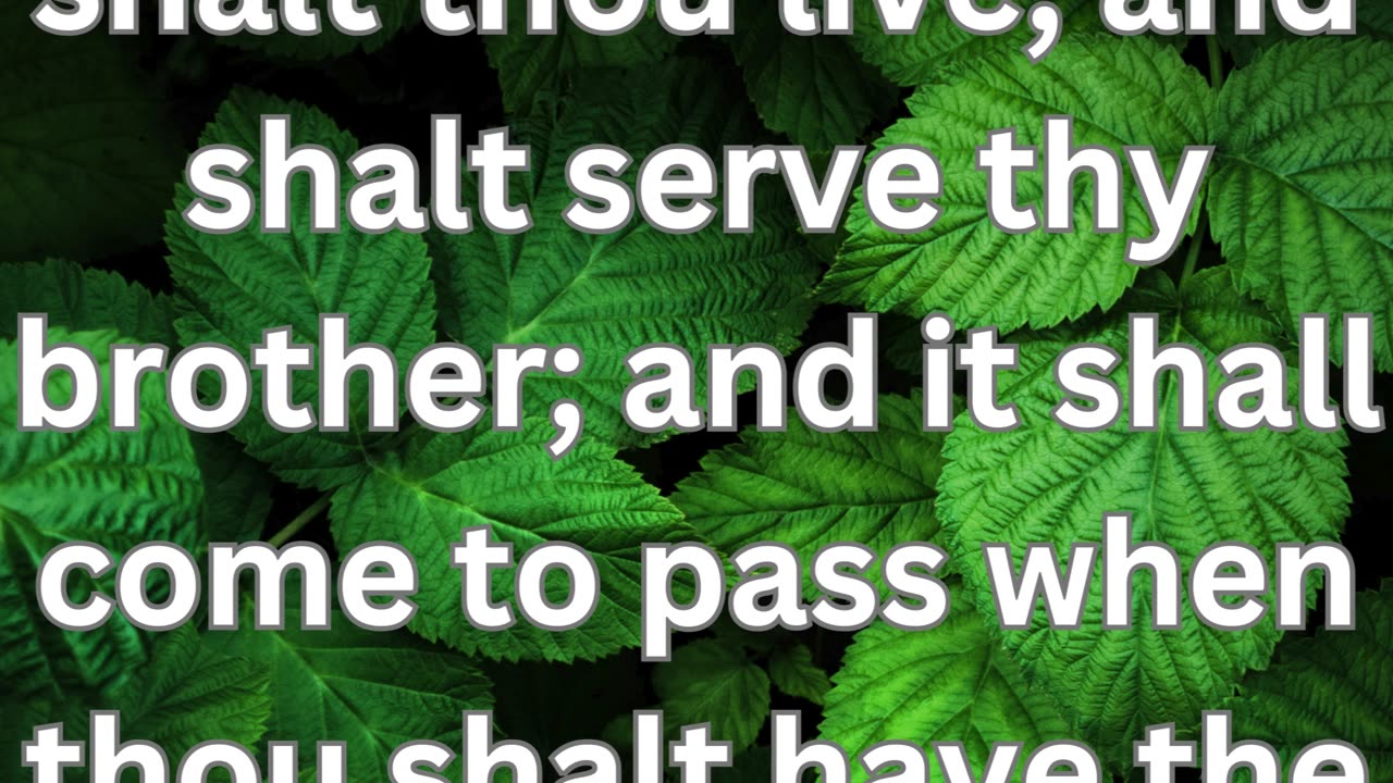 "Esau's Secondary Blessing: A Destiny of Hardship and Rebellion"39/39 ChatGPT Genesis 27:39-40