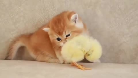 Awwwww these both are so cute..