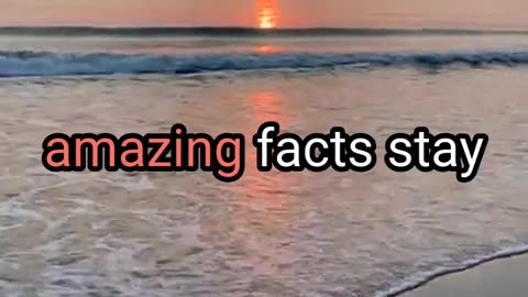 3 Mind Blowing fact that will leave you speakless!