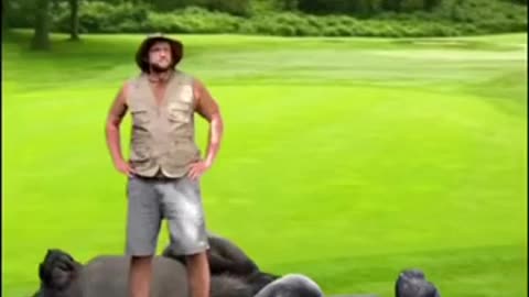 Where's the zookeepers?