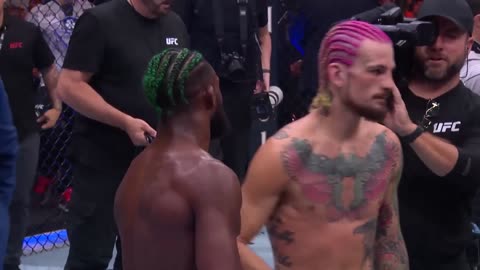 Best UFC Fight Sean O’Malley KOs Aljamain Sterling at UFC 292