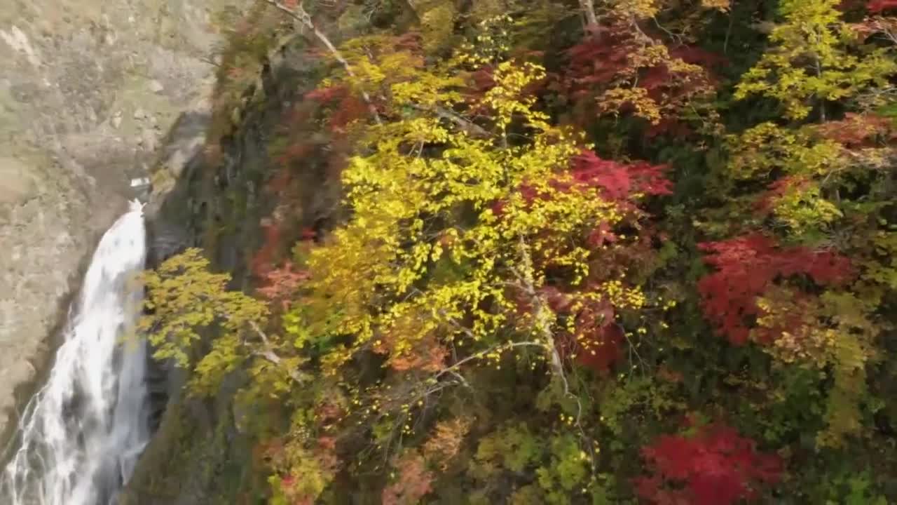 落差日本一 称名滝を彩る紅葉【JNN 紅葉ドローンDIG】｜TBS NEWS DIG