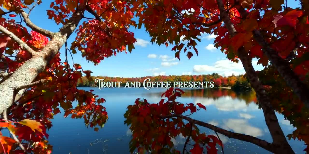 The Beauty of Peak Fall Foliage 🍁 Autumn in New England Part 1-2