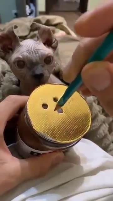 🐶||Awesome😱&🤣 Funny Pet Viral Video||😹#shorts #tranding #funnypet #dog #cat #youtubeshorts