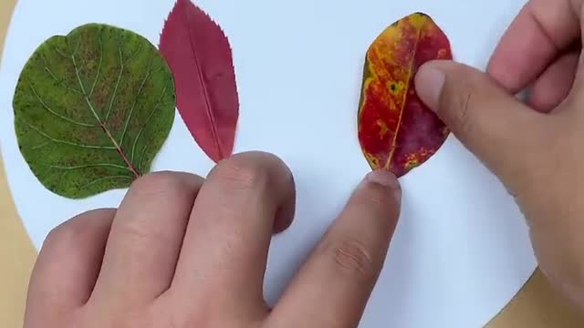 Just pick up some leaves and you can do it. Children's handicrafts, parent-child handicraf