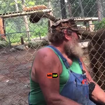 Series 2 Episode 68 😂🤣😂