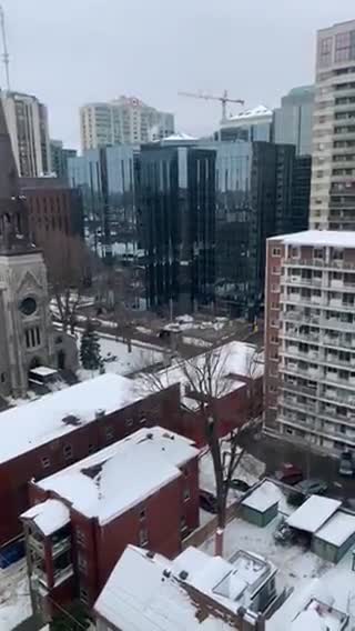 Locals becoming unhinged with the constant honk honk.