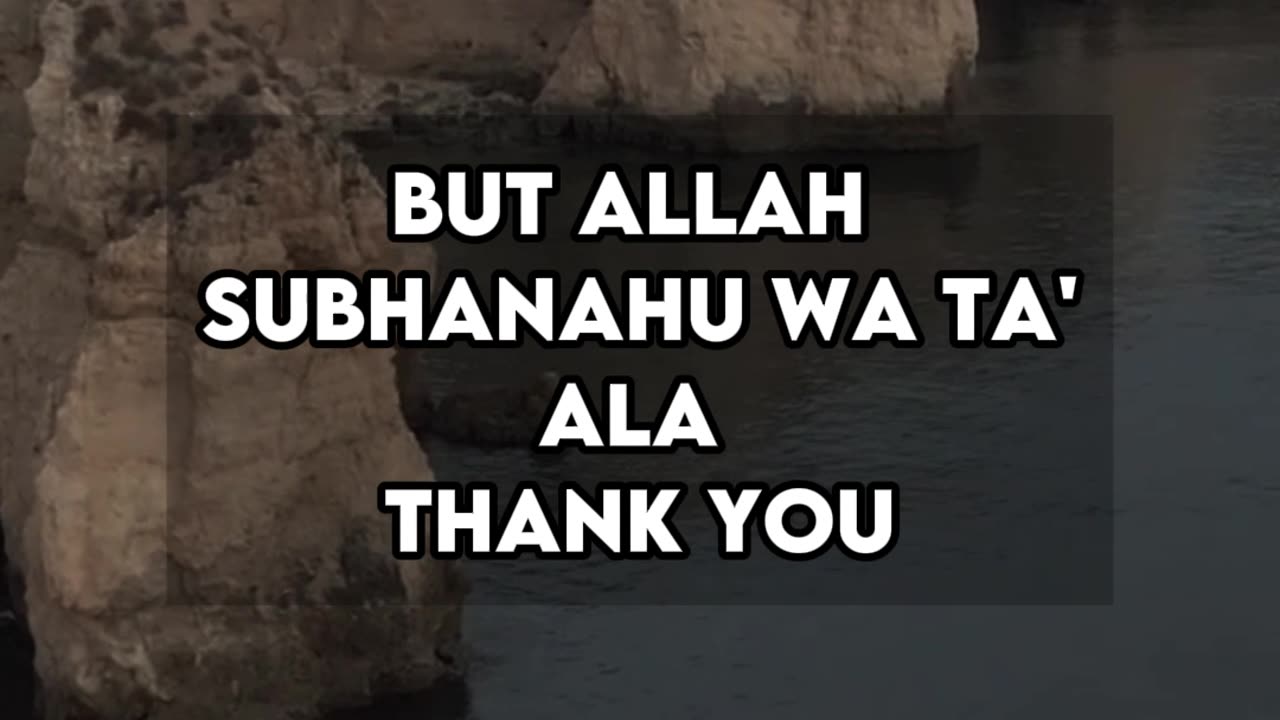 Thank you🤍 #islam #allah #shorts #alihammuda