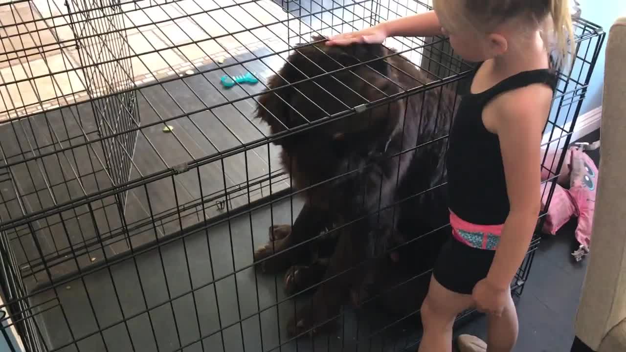 Dog shows off his edible birthday card