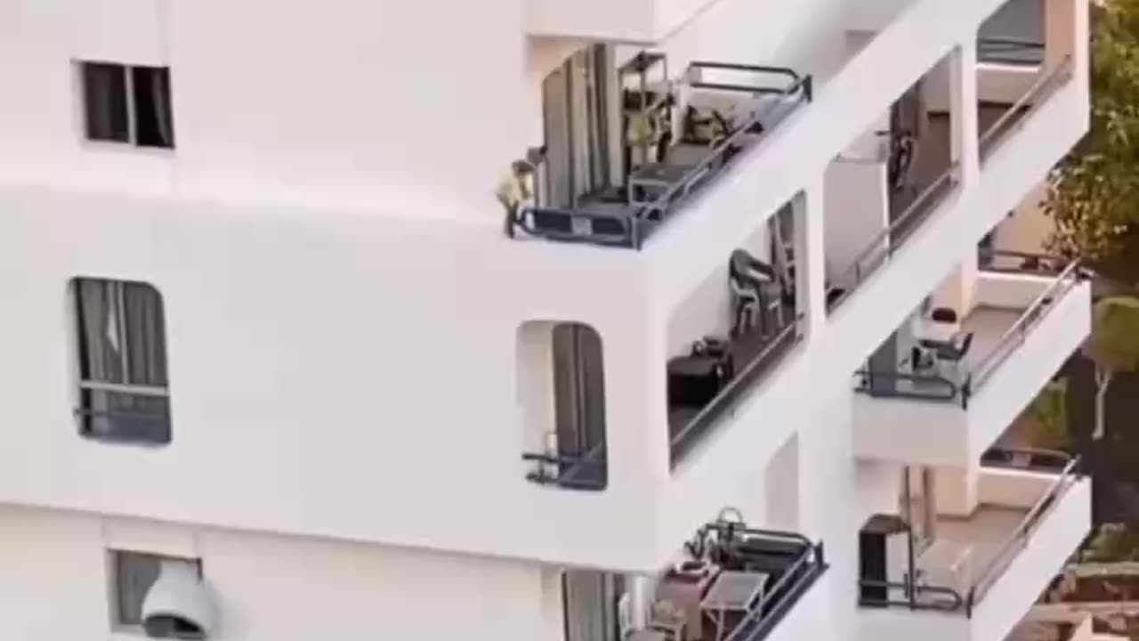 Fearless child