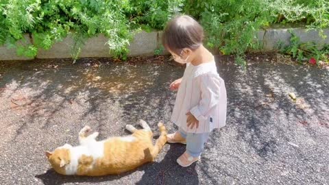 The baby sees a big cat in the yard