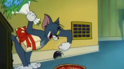 Tom & Jerry Comedy 🤣